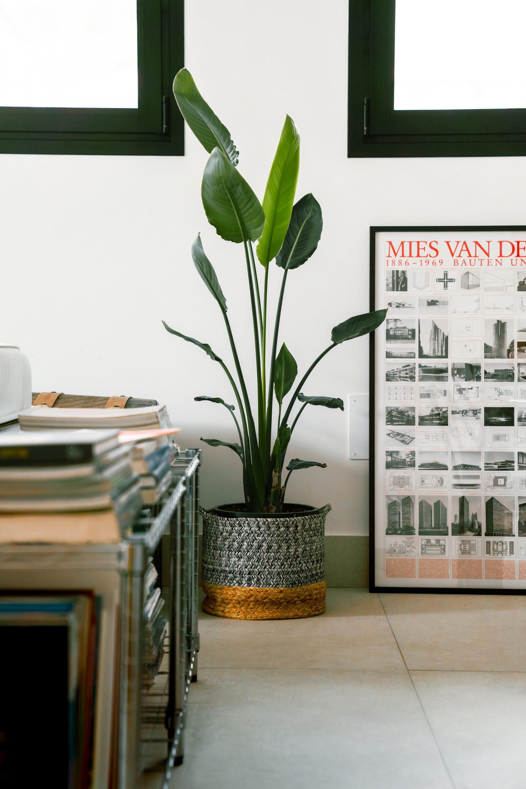 20241007-DSC01513-Enhanced-NR