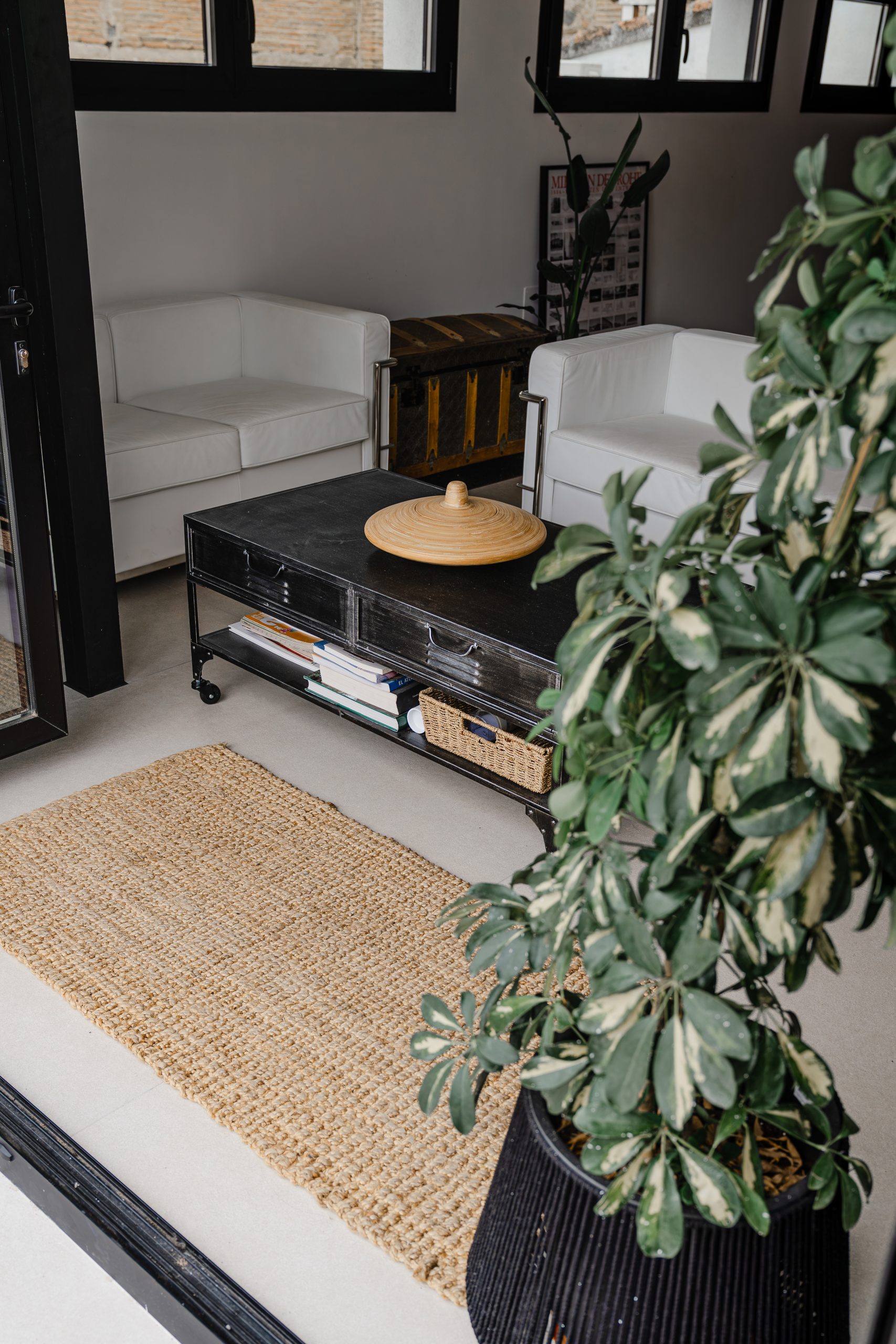 20241007-DSC01576-Enhanced-NR