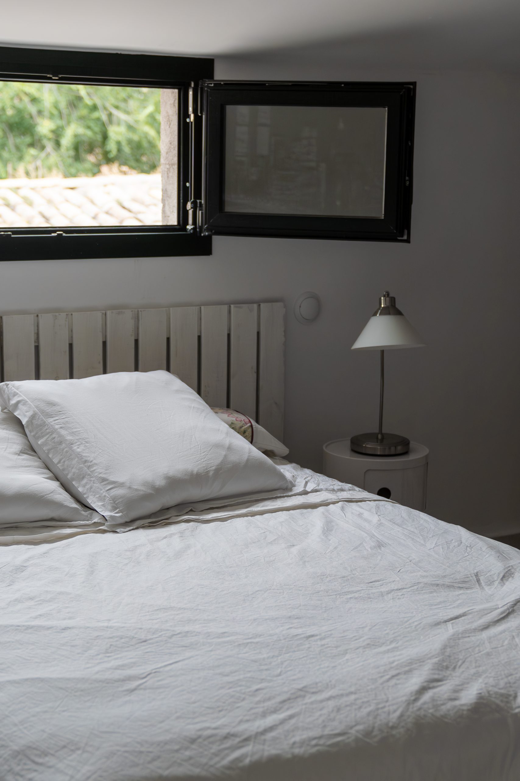 20241007-DSC01639-Enhanced-NR