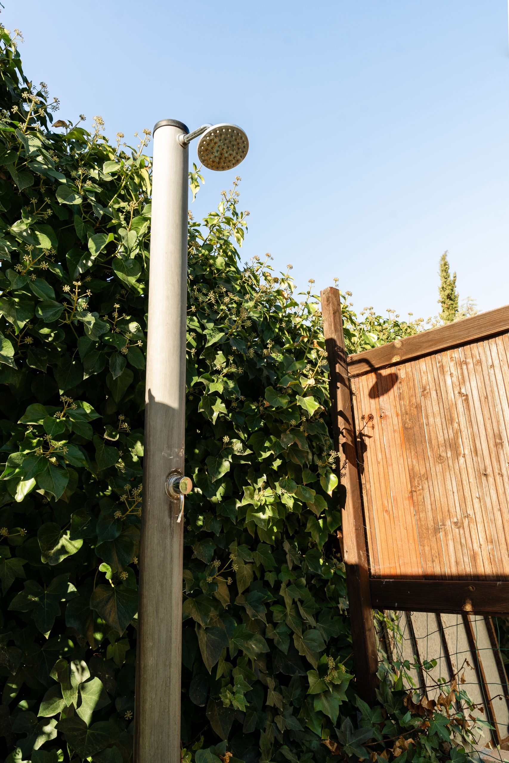 20251018-DSC06142-HDR-3